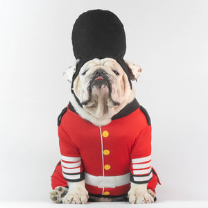 english bulldog outfits