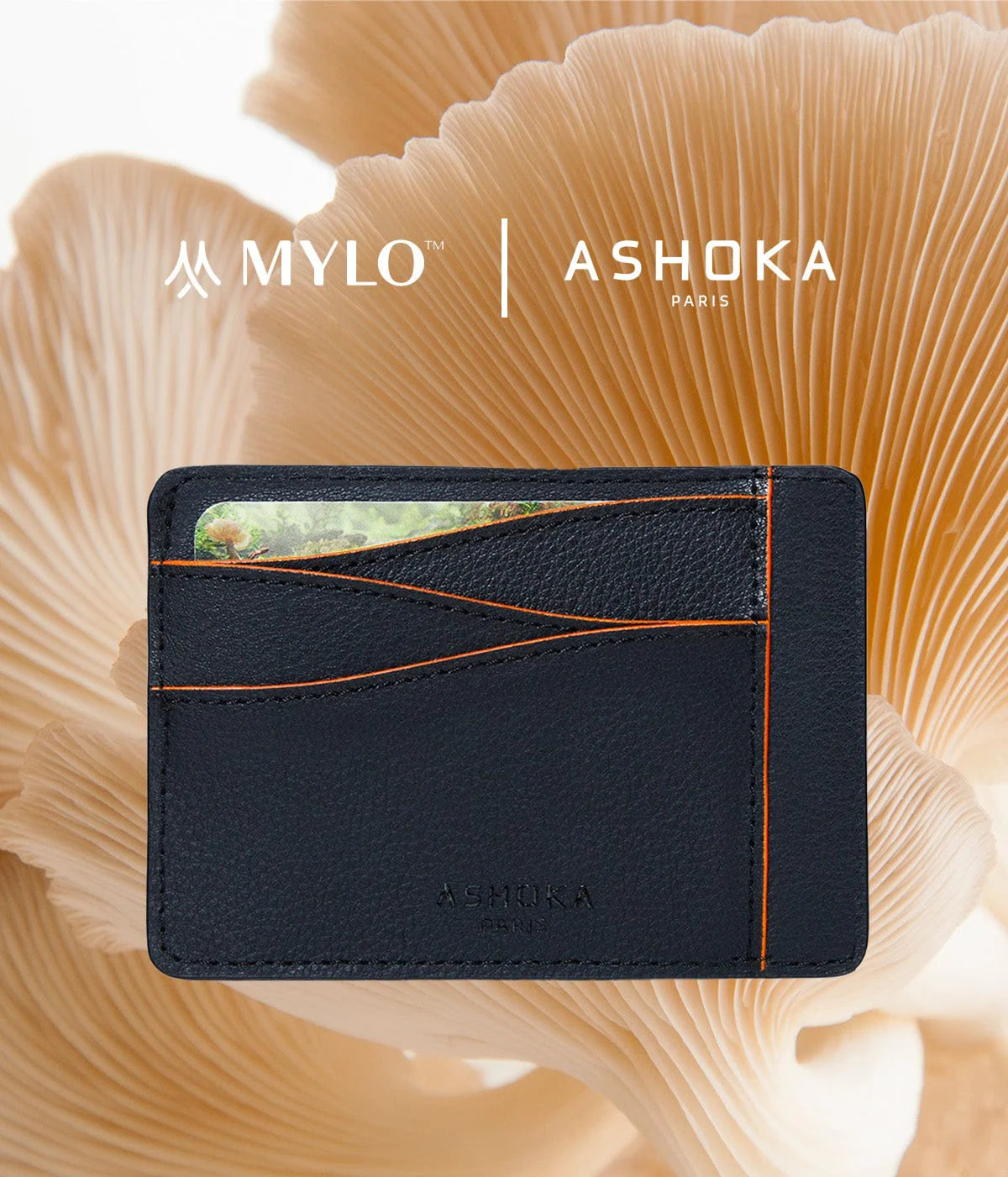 Ashoka Paris Mylo