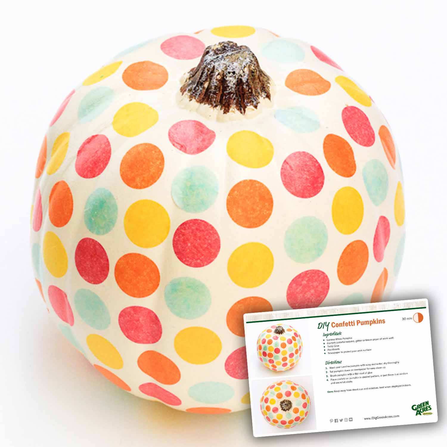 DIY Confetti
    Pumpkins