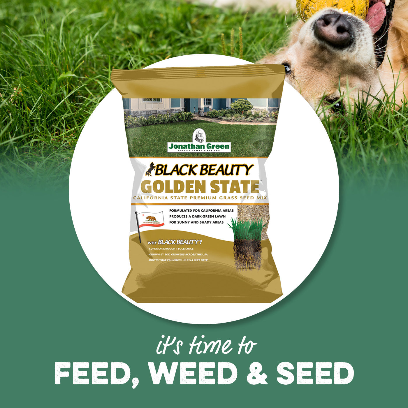 Jonathan Green®
    Black Beauty Golden State California Grass Seed