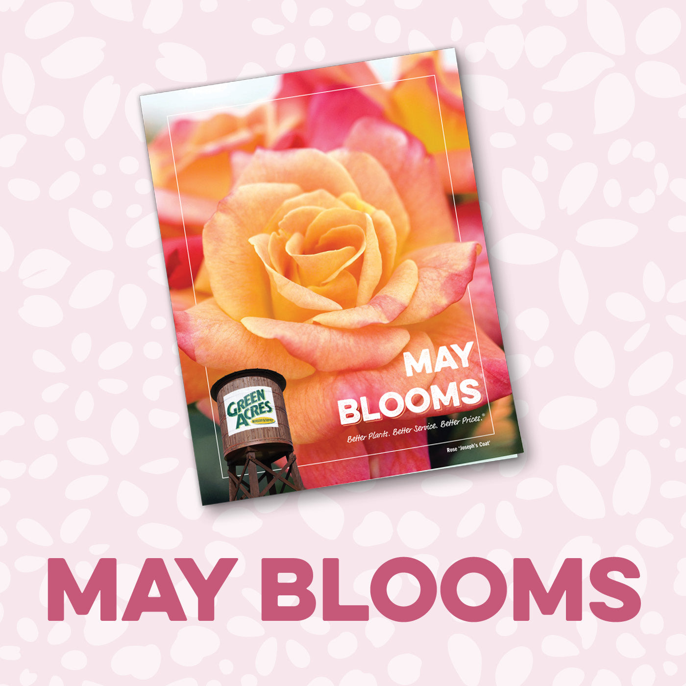 May Blooms