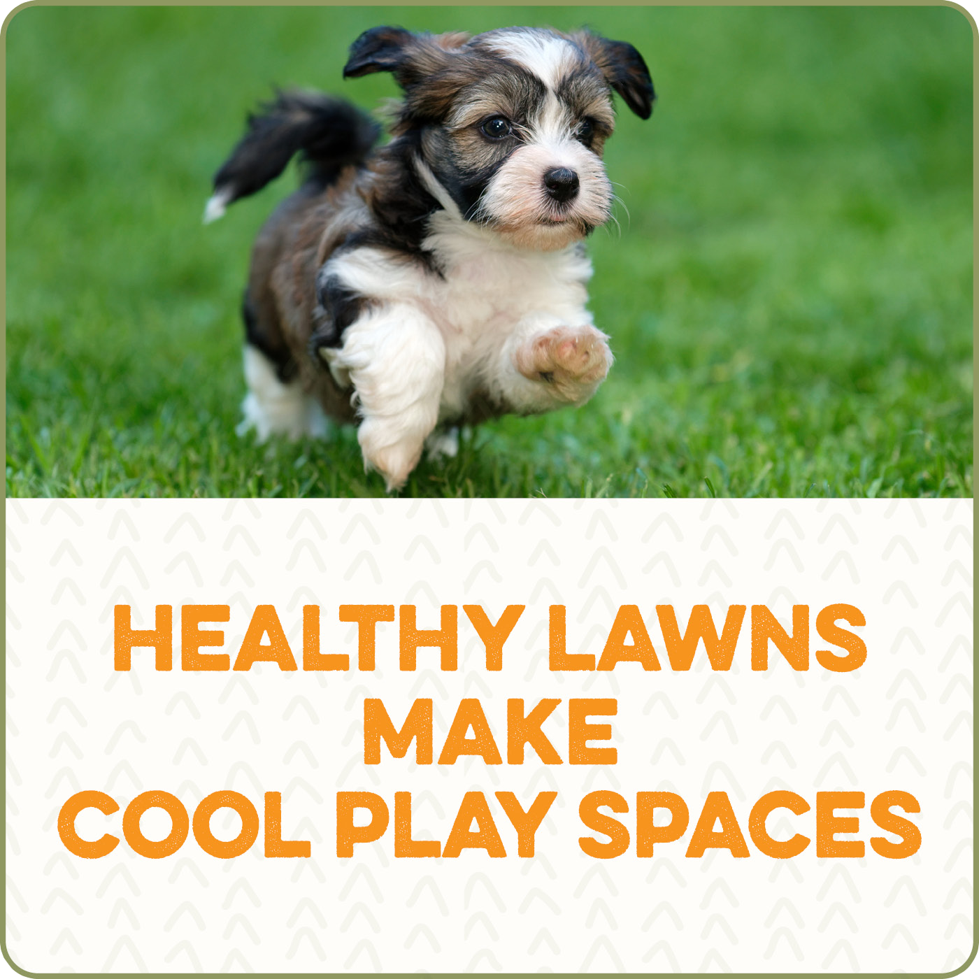 Healthy Lawns Make Cool
    Play Spaces