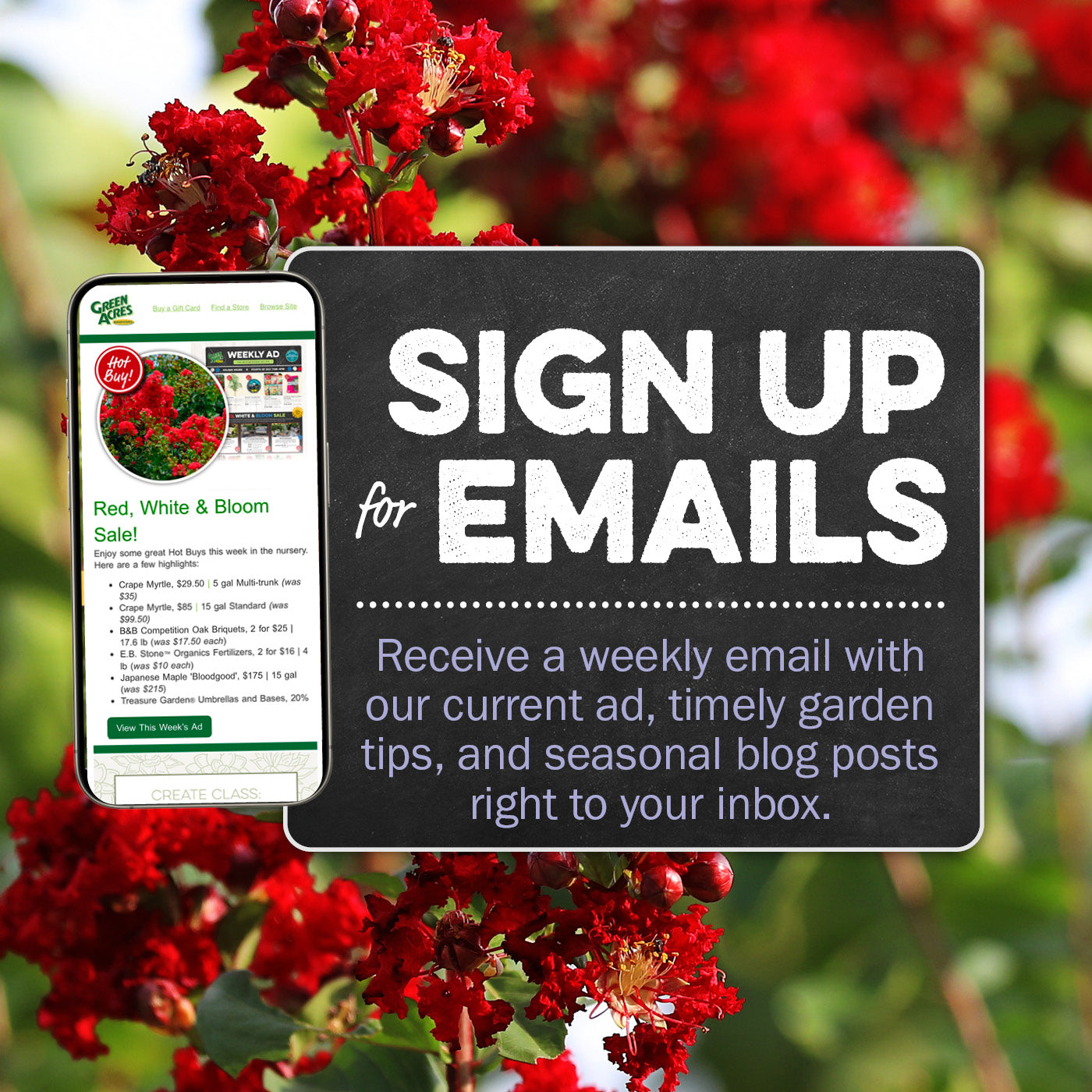 Sign Up For Emails