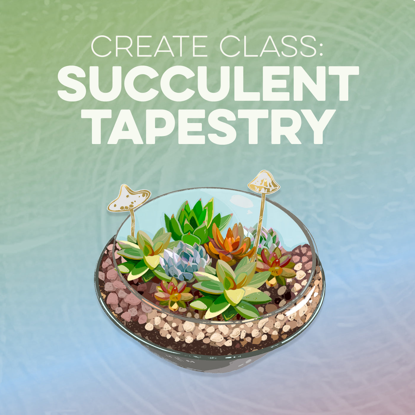 Create Class: Succulent
     Tapestry