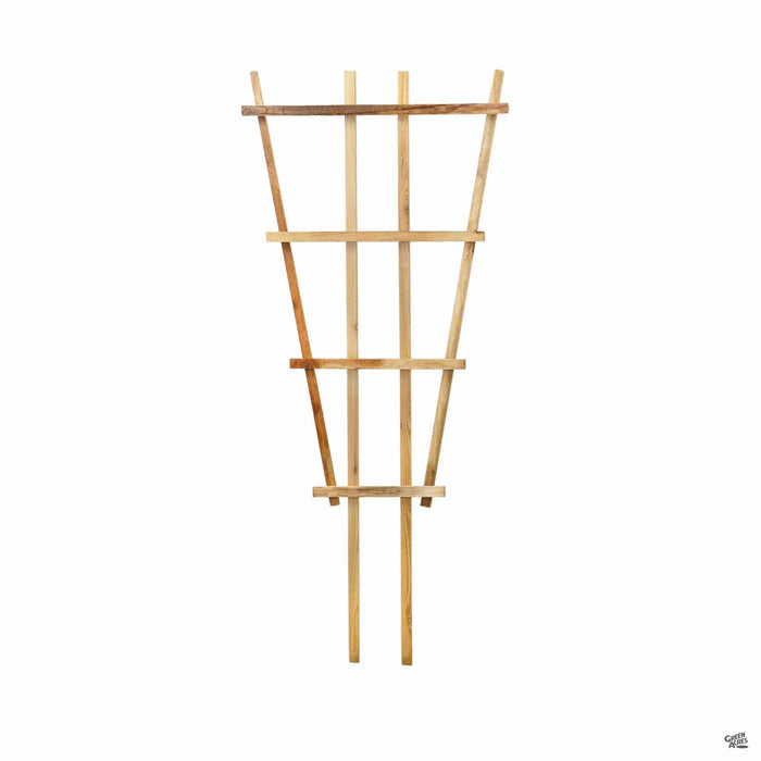 Cedar Fan Trellis — Green Acres Nursery & Supply