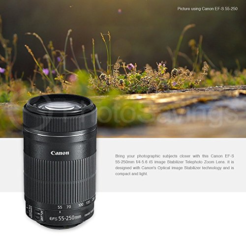 Canon Ef S 55 250mm F 4 5 6 Is Stm Lens Bundle With Telephoto Lens Wi Shopify