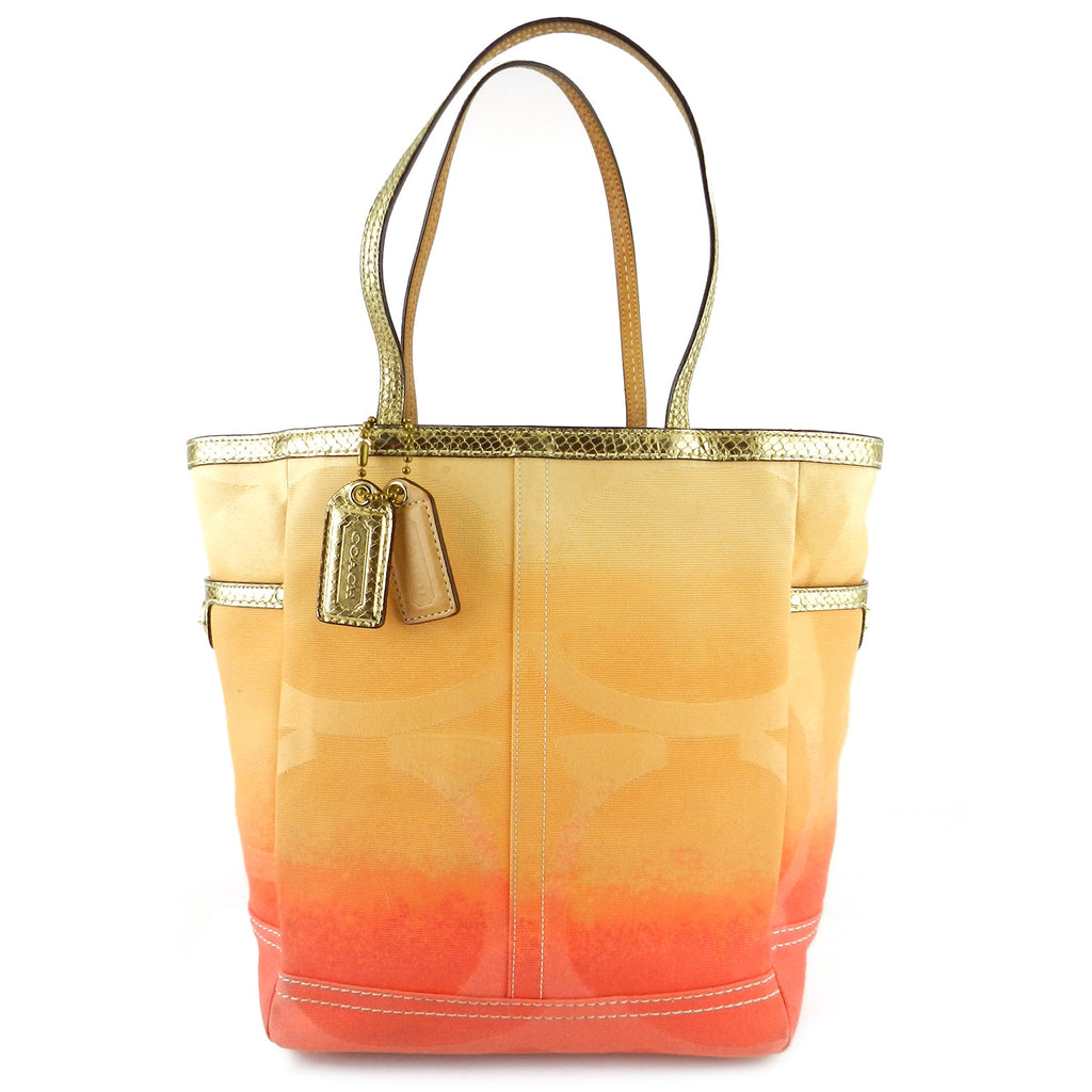 coach ombre tote