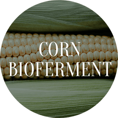 Corn Bioferment