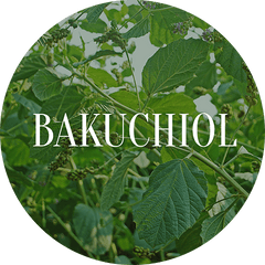 Bakuchiol