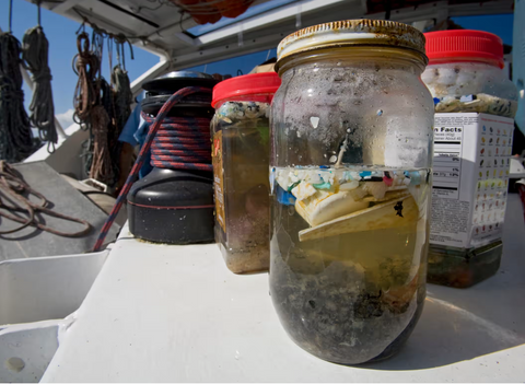 Plastic Microfibres in our waterways