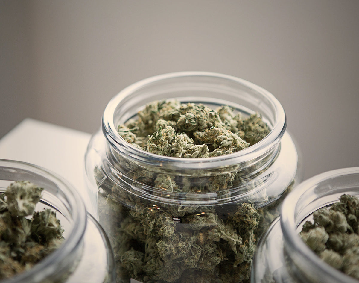 Are You Still Using a Mason Jar as Your Weed Stash Box? 8 of the Best  Smell-Proof Containers to Keep Cannabis Fresh and Secure — High Herstory