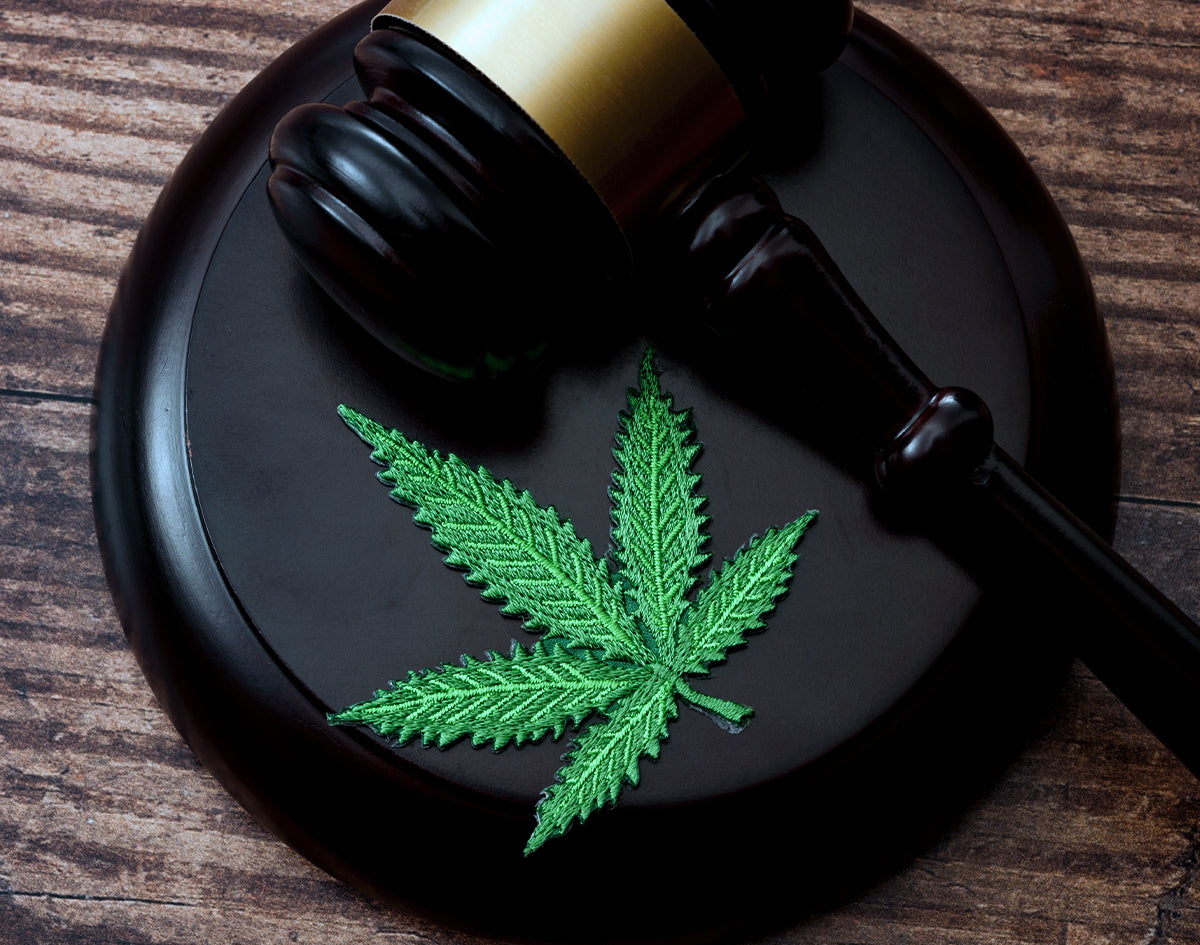 Gavel And Cannabis Patch On Wooden Surface | Marijuana Packaging
