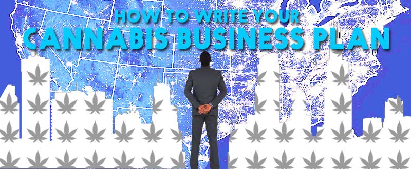 how to write your cannabis business plan