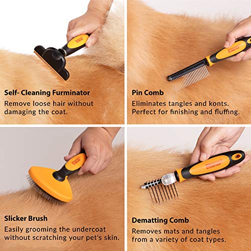 Friends Forever 6 In 1 Professional Pet Grooming Kit Box Cats