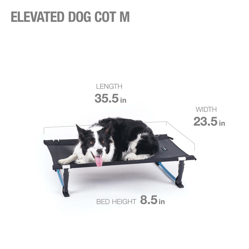 Raised Dog Cot 