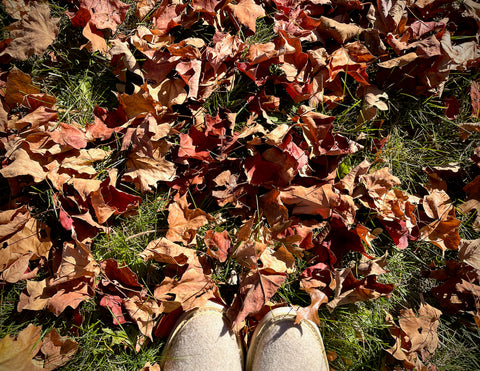 Qet-Botanicals-More-Blessings-Than-Leaves-on-the-Ground