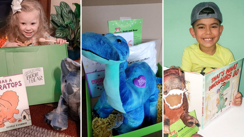Dinosaur Book and Bear Boxes featuring Triceratops, Brachiosaurus and T-Rex