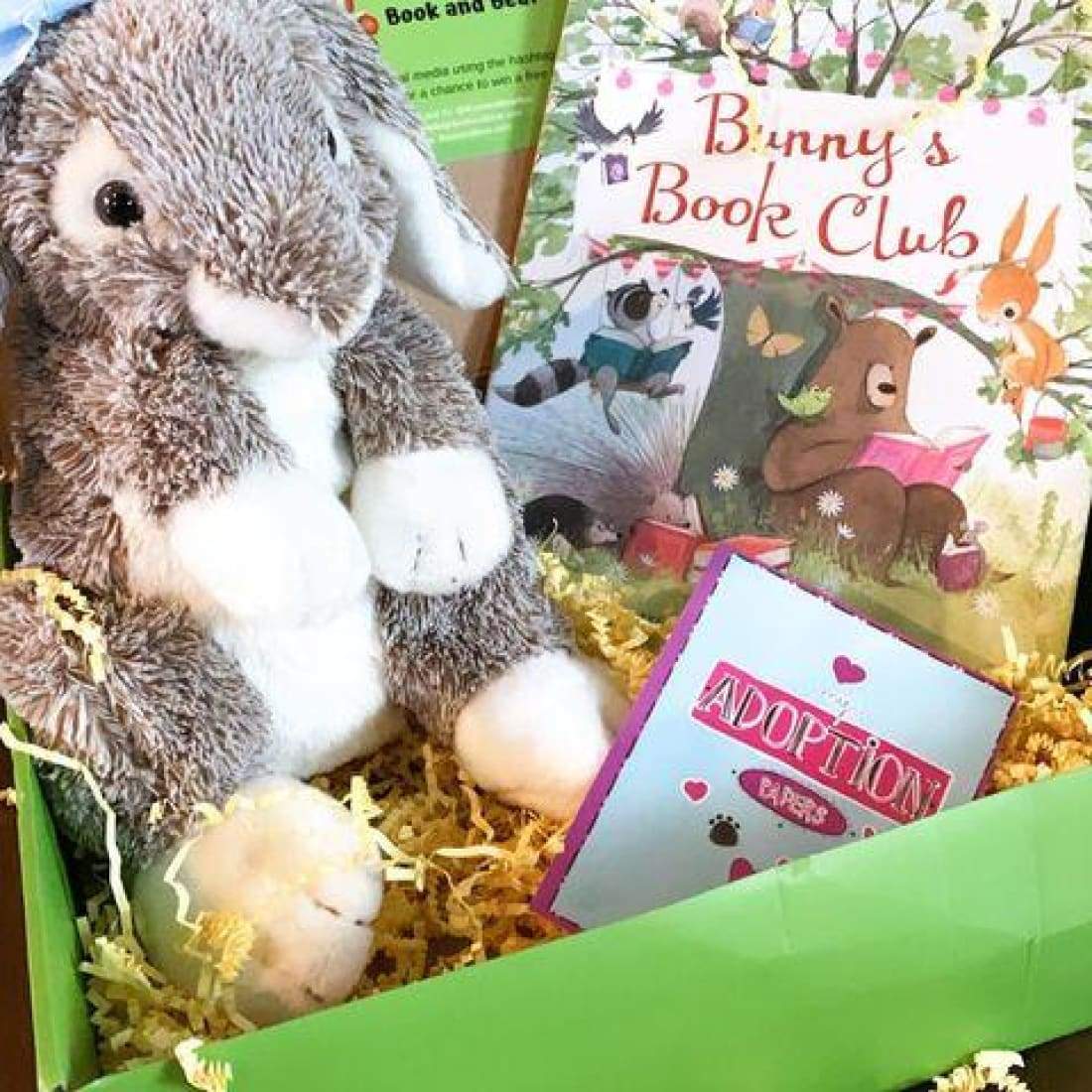 Book and Bear - Ballerina Bunny Stuffing Kit and Book Set