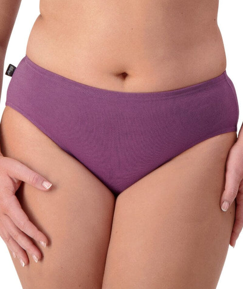 Sloggi Hikini 2 Pack Brief - Violet - Dark Combination - Curvy