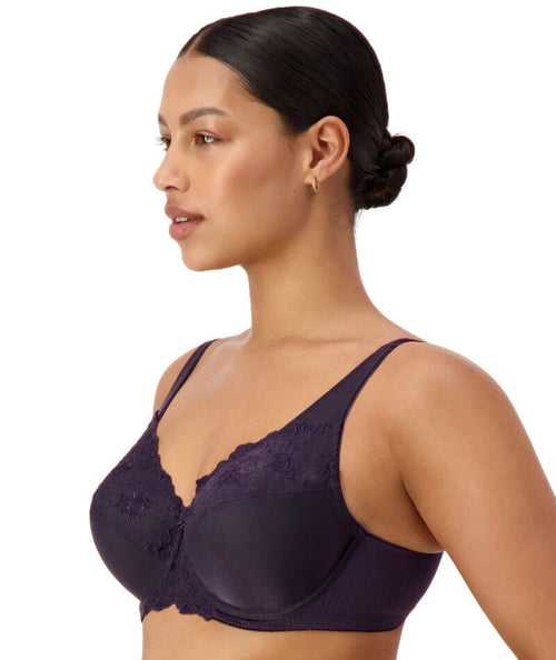 Triumph Embroidered Minimiser Bra 2 Pack - Blueberry/Baby's Cheek - Curvy