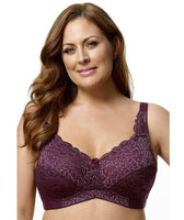 Elila Cheeky Stretch Lace Brief - Plum - Curvy Bras