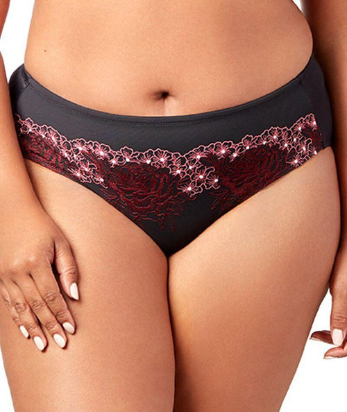 Microfiber and Lace Cheeky Panty