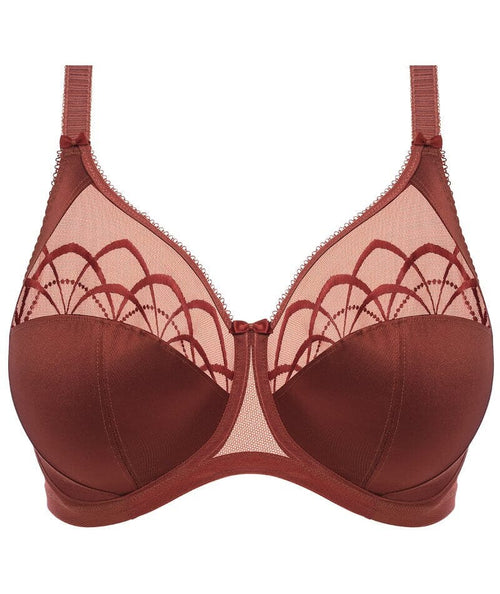 Elomi Cate Underwired Full Cup Banded Bra - Dark Copper - Curvy