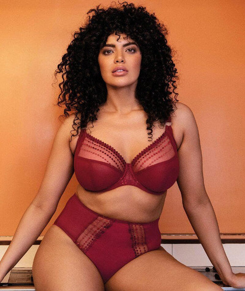 Elomi Matilda Full Brief - Crimson - Curvy Bras