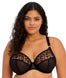 Elomi Namrah EL301336 Bandless UW Plunge Bra Ann's Bra Shop