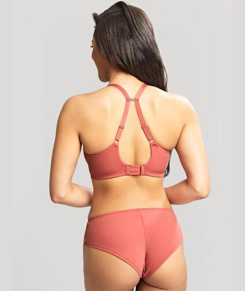 Panache Rocha Brief - Garnet Rose - Curvy