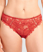 Sans Complexe Arum Microfiber and Lace Hipster Brief - Skin - Curvy