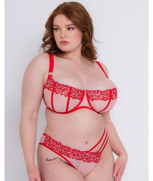 Scantilly Fascinate Plunge Bra - Poppy Red - Curvy Bras