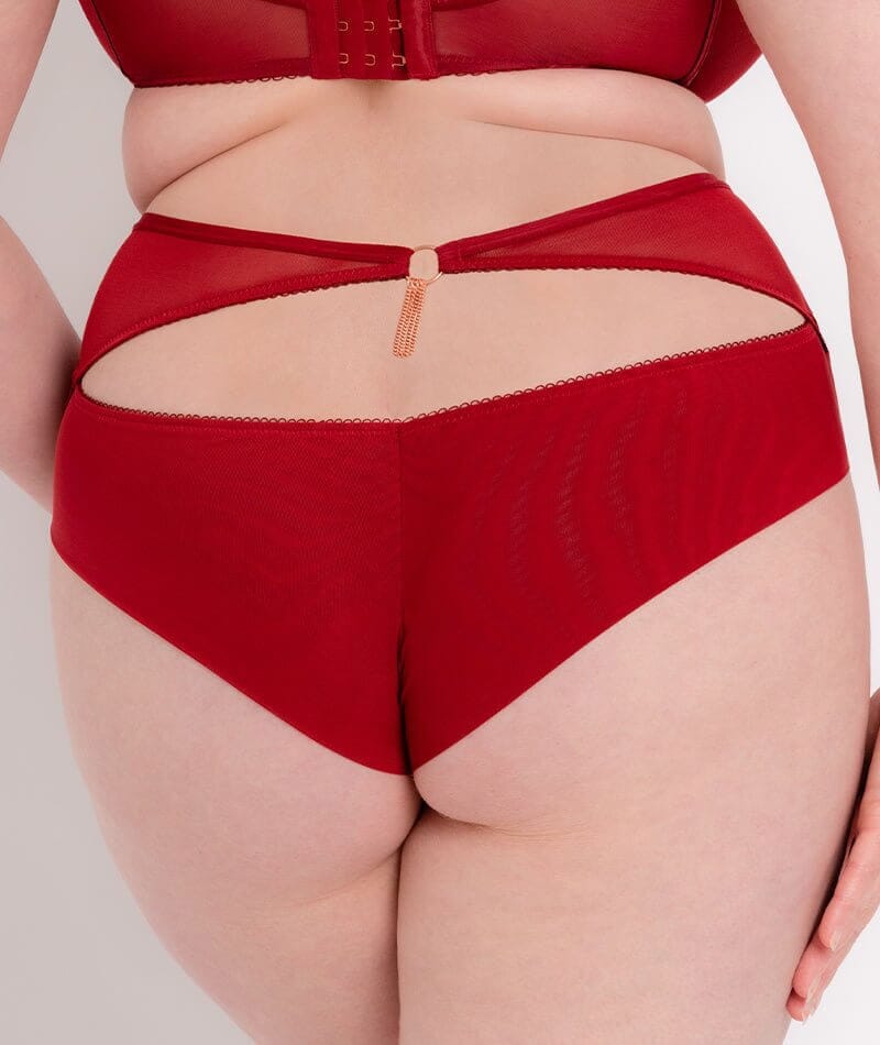 Scantilly Unchained High Waist Brief - Deep Red - Curvy Bras