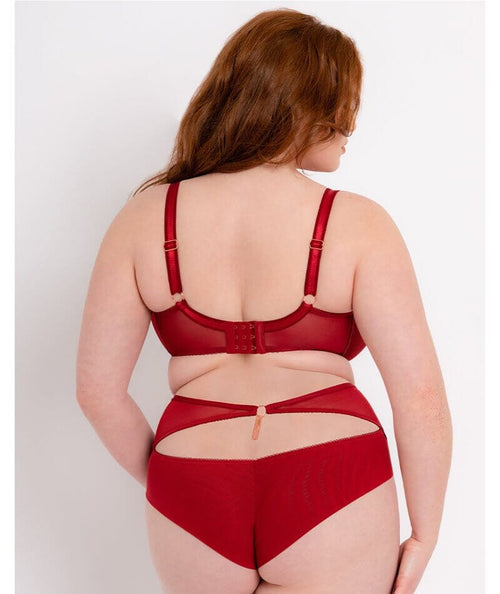 Kalila Dark Red Unlined Plunge High Neck, 32A-38C