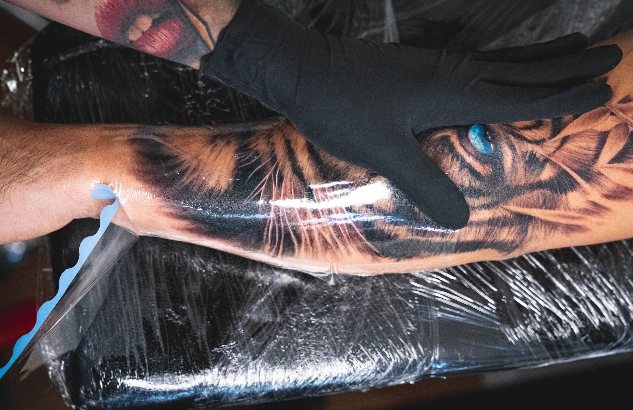 How to Protect Your Tattoo 6 Tips for Tattoo Aftercare