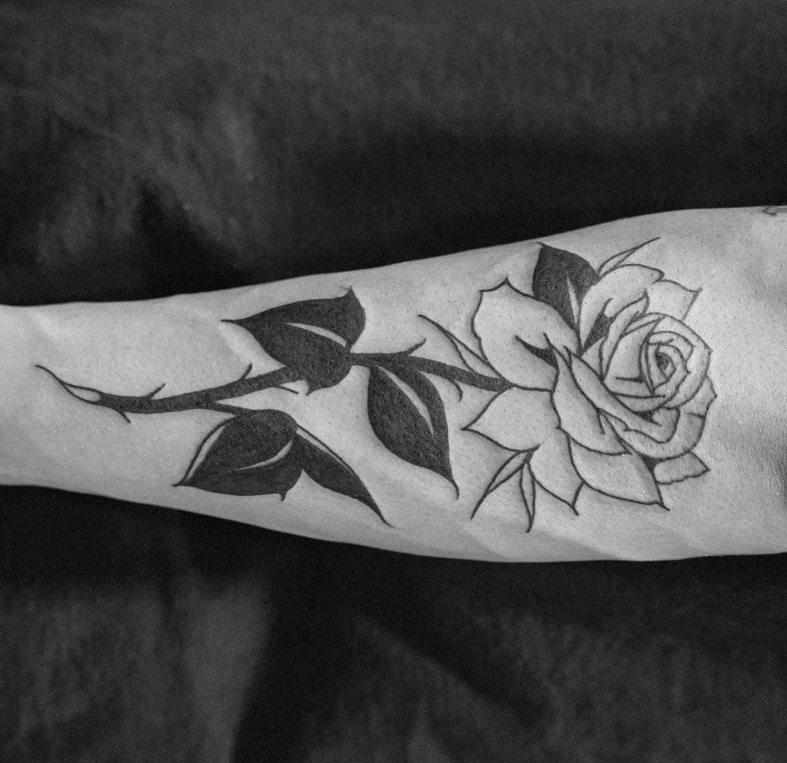 Rose With Thorns Tattoo HD Png Download  Transparent Png Image  PNGitem