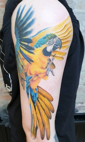 Bird tattoo color realism