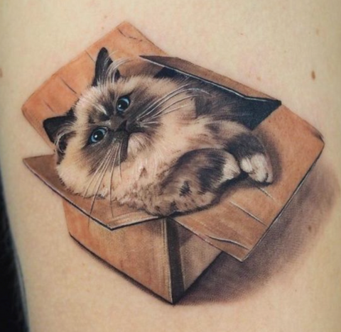 cat tattoo realism