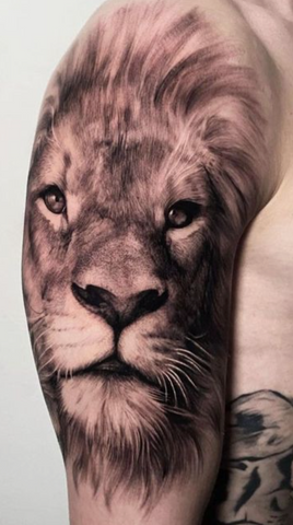 Lion tattoo realism black and grey arm