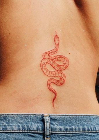 Share 77 spine snake tattoos  thtantai2