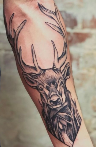 Stag tattoo forearm 