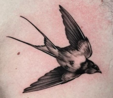 Swallow tattoo chest black and grey realism