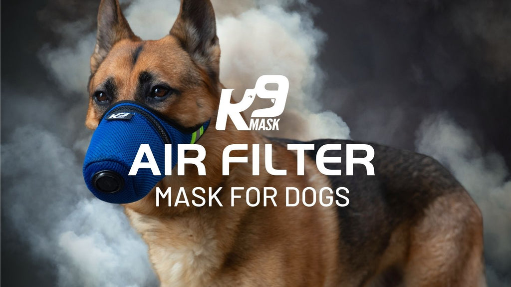 Маска для повітряних фільтрів K9 Mask для захисту здоров’я сезону лісових пожеж в Каліфорнії