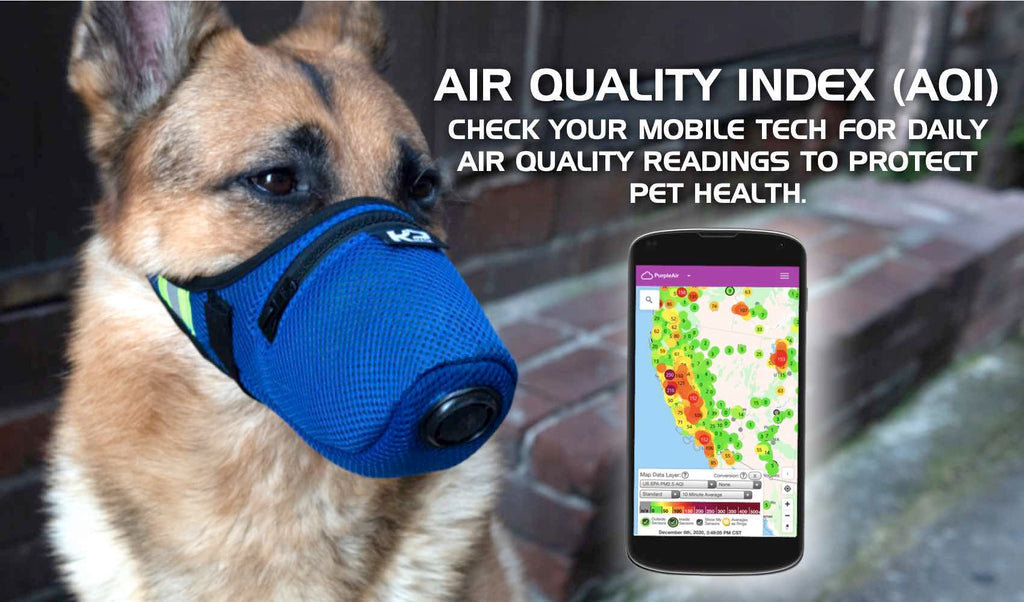 AQI Weather Apps Include Air Quality Index for People and Pet Health