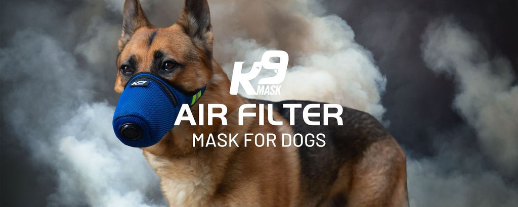 K9 Mask® Повітряний фільтр-маска для собак в Каліфорнії Wildfire Smoke