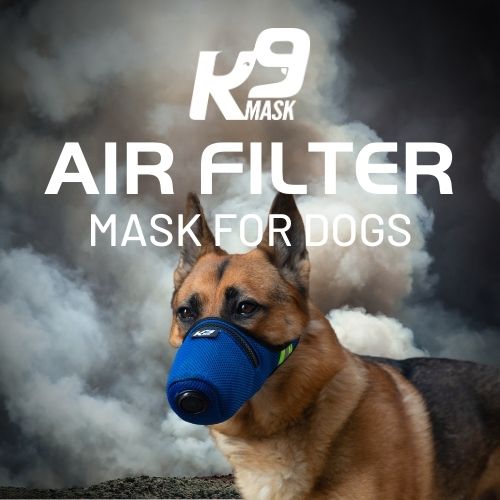 K9 Mask® Hondenmasker met luchtfiltervervuiling