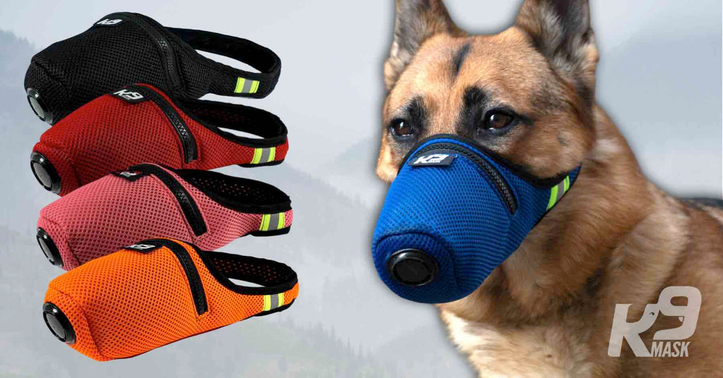 K9 Mask® Hondenmasker met aangepaste kleur luchtvervuiling