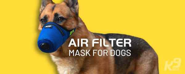 K9 Маска повітряний фільтр для собак при грибковій лихоманці долини
