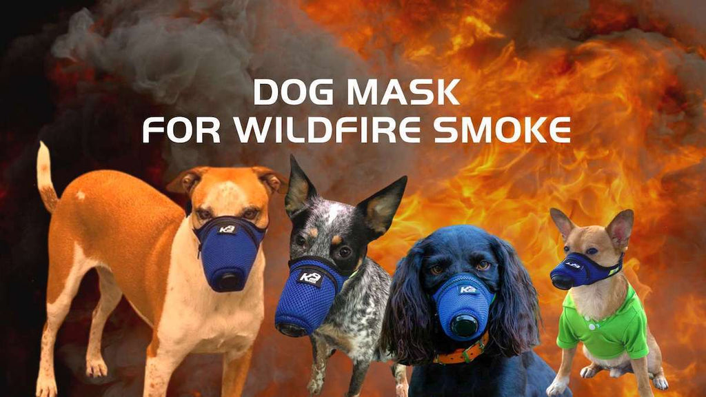 Маска для собаки від диму від лісової пожежі для захисту дихальних шляхів