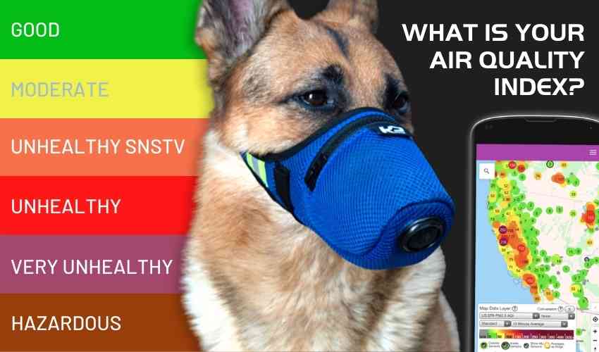 How to protect dogs in high air quality index AQI from toxic air with dog face mask